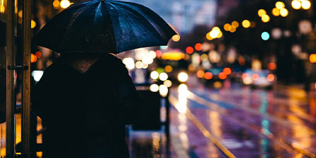 西雅图海湾者全力冲击冠军，关键球员备战状态受关注